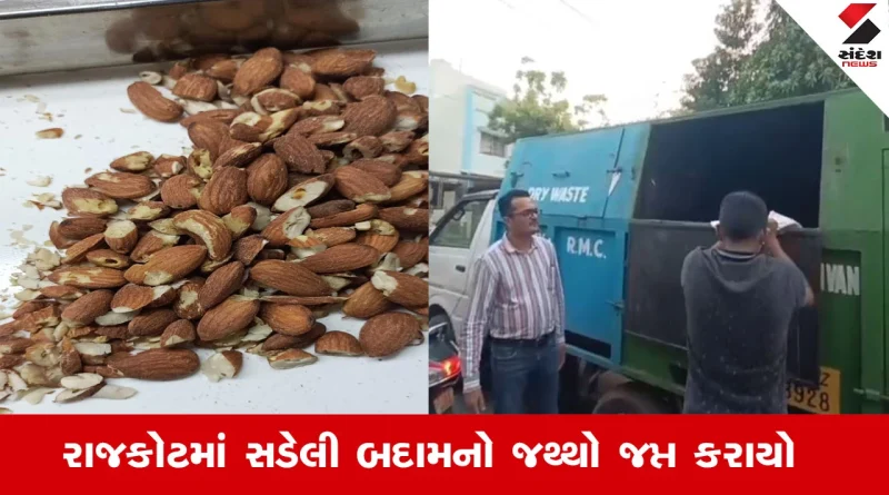 Rajkot News : રાજકોટમાં સડેલી બદામ વેચતો વેપારી મનપા અધિકારીના હાથે ઝડપાયો, વેપારીની સામે જ બદામ નાશ કરાઈ