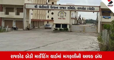 Rajkot: બેડી માર્કેટિંગ યાર્ડમાં કમોસમી વરસાદને પગલે મગફળી સહિત ત્રણ જણસીની આવક બંધ