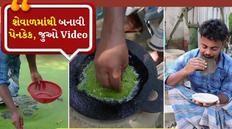 વ્યક્તિએ શેવાળમાંથી પેનકેક બનાવી, પછી તેને ખાધી, જુઓ તેના રિએક્શનનો Video