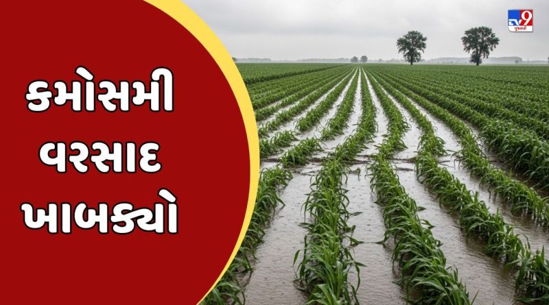 Amreli : સાવરકુંડલામાં કમોસમી વરસાદે સર્જી તારાજી, રાજ્યકક્ષાના મંત્રી કૌશિક વેકરીયાએ અસરગ્રસ્ત વિસ્તારોની લીધી મુલાકાત, જુઓ Video Amreli : સાવરકુંડલામાં કમોસમી વરસાદે સર્જી તારાજી, રાજ્યકક્ષાના મંત્રી કૌશિક વેકરીયાએ અસરગ્રસ્ત વિસ્તારોની લીધી મુલાકાત, જુઓ Video