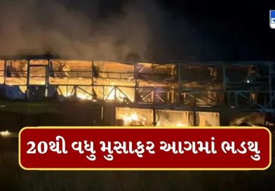 અકસ્માત બાદ બસ બની ગઇ આગનો ગોળો, 40 મુસાફરો પૈકી 20 થયા જીવતા ભડથુ, જુઓ Video
