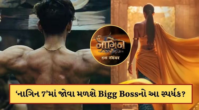 બિગ બોસ 19ના આ સ્પર્ધકની “નાગિન 7” સિરિયલમાં થશે એન્ટ્રી? એકતા કપૂરે કરી ઓફર
