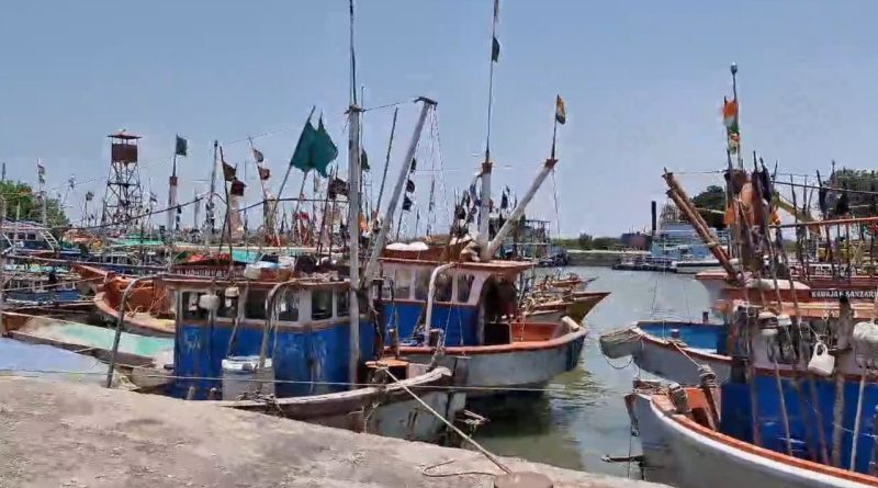Jamnagar : ફિશરીઝ વિભાગ સાથે છેતરપિંડી ! ખોટા બિલ બનાવી જૂની બોટને નવી દર્શાવી આચર્યું કૌભાંડ, જુઓ Video
