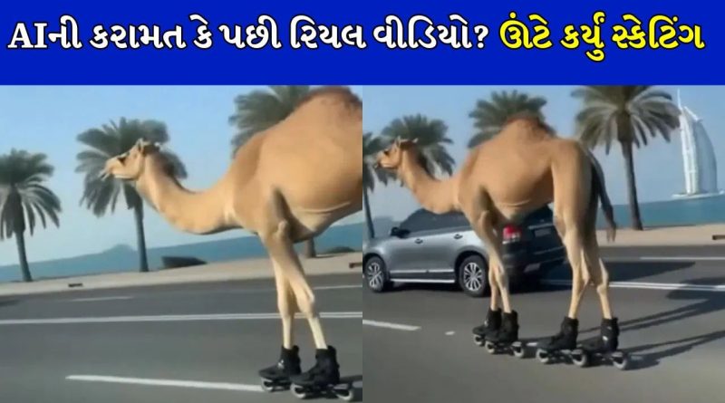 આજ કુછ તુફાની કરતે હૈ ! દુબઈના રસ્તાઓ પર ઊંટે કર્યું સ્કેટિંગ, લોકો થયા આશ્ચર્યચકિત, જુઓ રોમાંચક વીડિયો