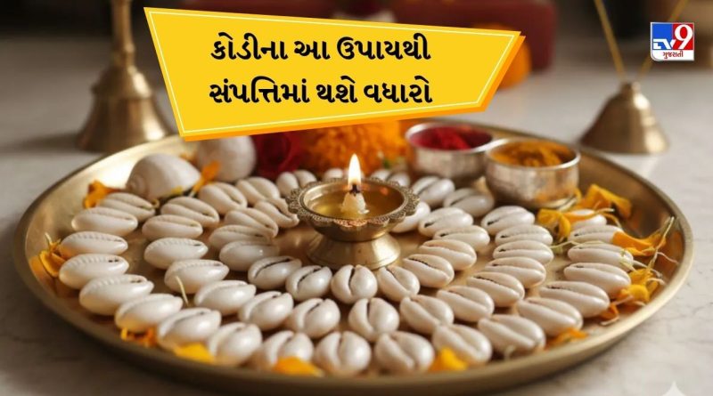 Dhanteras 2025:  ધનતેરસ પર આ  કોડીના ઉપાયો અચુક અજમાવો, તમારું ઘર ધનથી ઉભરાઇ જશે!