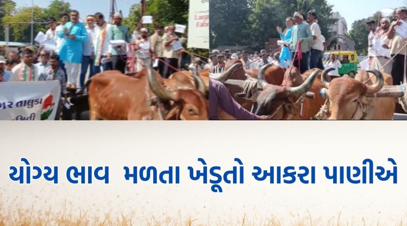 જામનગરમાં ટેકાના ભાવે મગફળીની ખરીદી મુદ્દે ખેડૂતોએ નોંધાવ્યો આકરો વિરોધ- Video