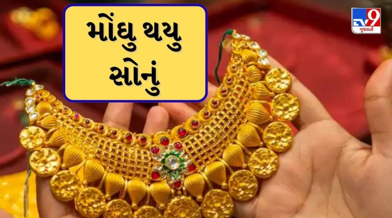Gold Price Today : દિવાળી પહેલા વધતા જઇ રહ્યા છે સોનાના ભાવ, સતત સ્પર્શી રહ્યું છે નવી ટોચ, જાણો તમારા શહેરના ભાવ