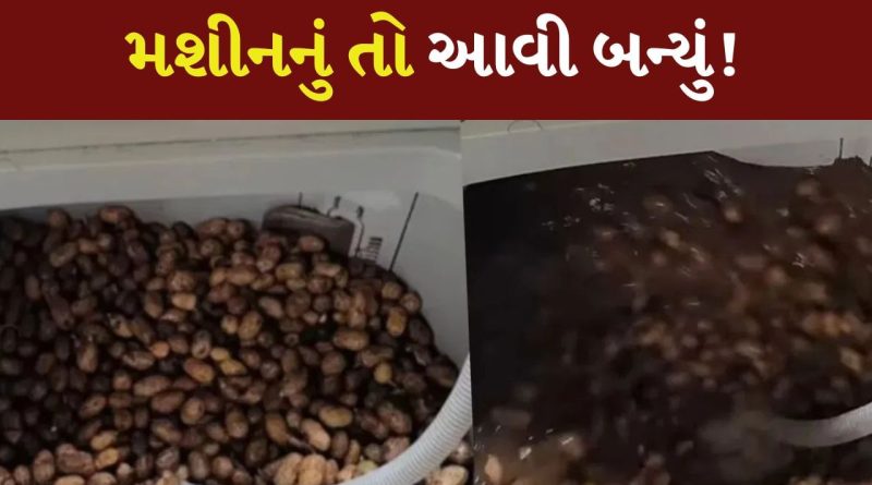 વ્યક્તિએ મગફળી ધોવા માટે કર્યો જુગાડ, વીડિયો જોયા પછી લોકોએ કહ્યું – શું ક્રિએટિવિટી છે!