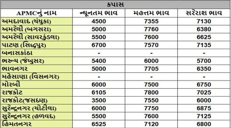APMC Market Rates : સુરેન્દ્રનગરના હળવદ APMCમાં મગફળીના મહત્તમ ભાવ રૂપિયા 6075 રહ્યા, જાણો જુદા-જુદા પાકના ભાવ