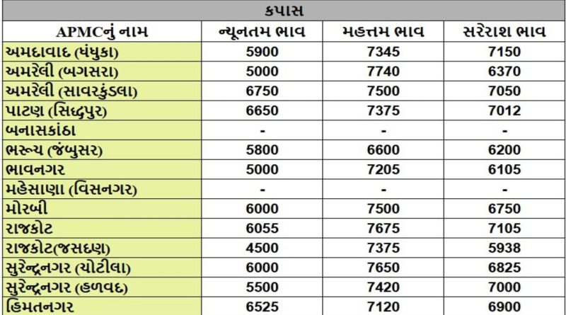APMC Market Rates : અમરેલીના બગસરા APMCમાં કપાસના મહત્તમ ભાવ રૂપિયા 7740 રહ્યા, જાણો જુદા-જુદા પાકના ભાવ APMC Market Rates : અમરેલીના બગસરા APMCમાં કપાસના મહત્તમ ભાવ રૂપિયા 7740 રહ્યા, જાણો જુદા-જુદા પાકના ભાવ