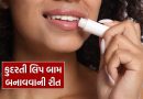 શિયાળો આવી ગયો, ઘરે જ બનાવો નેચરલ લીપ બામ, જાણો 5 રીત