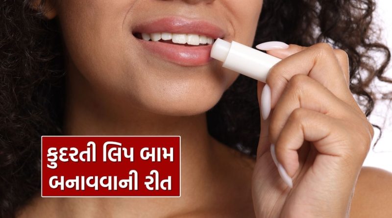 શિયાળો આવી ગયો, ઘરે જ બનાવો નેચરલ લીપ બામ, જાણો 5 રીત