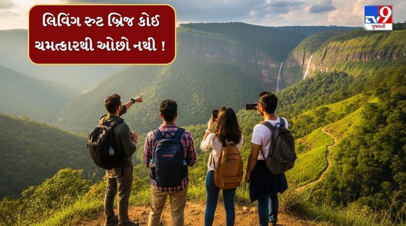 દિવાળી વેકેશનમાં ફરવા જઈ રહ્યા છો ? તો આ લિવિંગ રુટ બ્રિજની મુલાકાત અવશ્ય લેજો