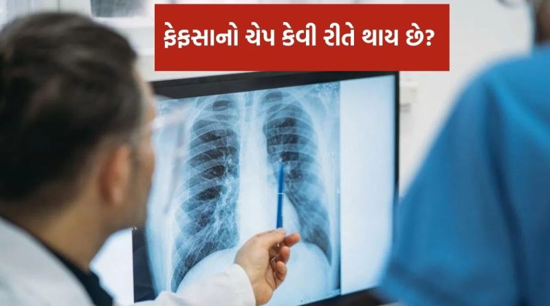 Lungs Infection: ફેફસાનો ચેપ કેવી રીતે થાય છે? લક્ષણો અને ઉપાય જાણો નિષ્ણાતો પાસેથી