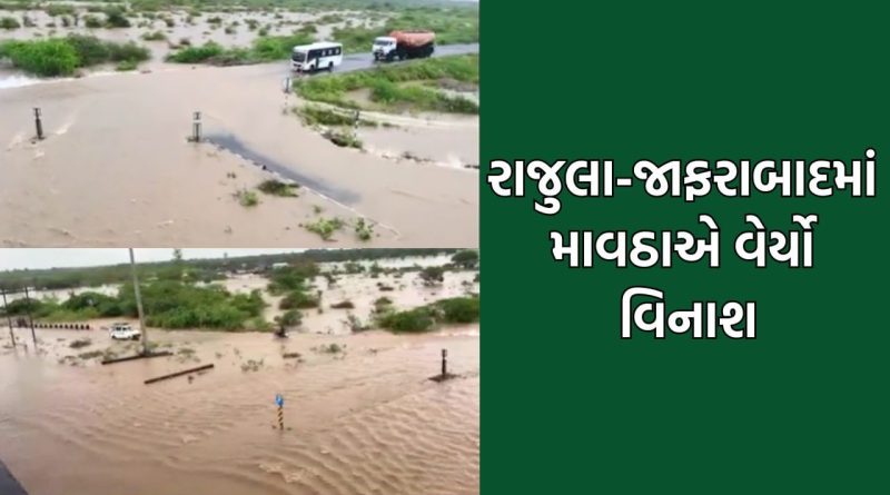 રાજ્યમાં શિયાળાની શરૂઆતમાં માવઠાનો માર, રાજુલામાં ખાબક્યો 7 ઈંચ વરસાદ તો રાજ્યના 137 તાલુકામાં વરસાદ