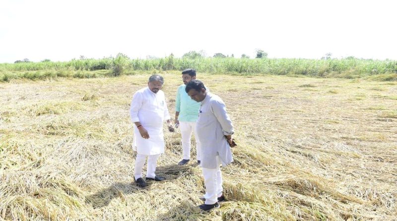 નવસારીના તમામે તમામ 355 ગામમાં માવઠાથી ભારે નુકસાની, 15295 ખેડૂતો અને 18309 હેક્ટર વિસ્તાર પ્રભાવિત