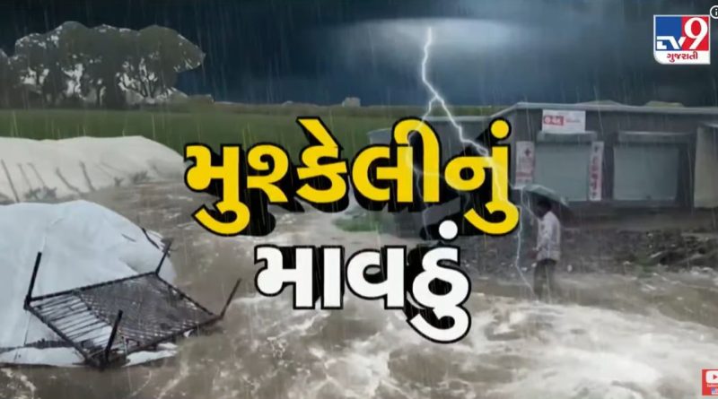 Panchmahal : કમોસમી વરસાદથી ખેડૂતોની મહેનત પર પાણી ફરી વળ્યું,સરકાર સમક્ષ પાક નુકસાનના વળતરની માગ,જુઓ Video
