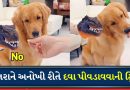 Funny Viral Video: કૂતરાને દવા પીવડાવવાની એક ફની ટ્રિક્સ થઈ વાયરલ, વીડિયો જોઈને શેર કર્યા વિના નહીં રહી શકો