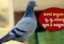 Pigeon Sound Sign: કબુતરમાં ઘરમાં આવીને મોટે મોટેથી અવાજ કરવુ કઇ વાતનો સંકેત છે ? જાણો શુભ છે કે અશુભ