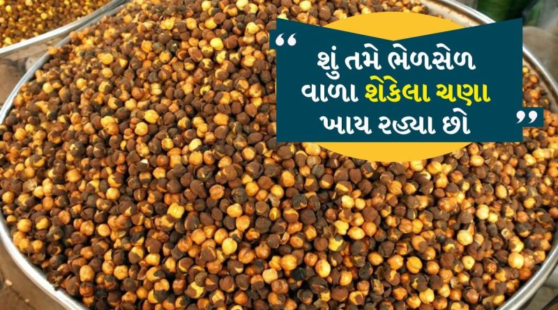 શું તમે ભેળસેળ વાળા શેકેલા ચણા ખાય રહ્યા છો ? આ રીતે ઓળખો અસલી ચણાને, જુઓ video