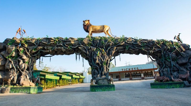 Travel Tips : બાળકોને લઈ Statue of Unity ફરવાનો પ્લાન બનાવો, જાણો કેવી રીતે પહોંચશો