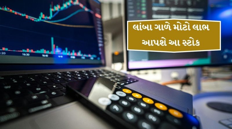 Stocks Forecast 2025 : લાંબા ગાળે મોટો લાભ આપશે આ શેર, શું તમારી પાસે છે આ સ્ટોક, લિસ્ટ ચેક કરી લો