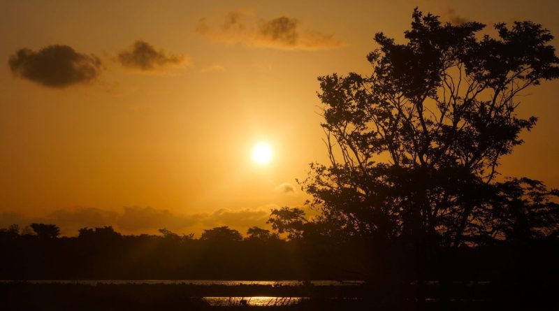 12 મહિના પછી સૂર્ય કરશે મંગળના ઘરમાં પ્રવેશ, આ રાશિના લોકો માટે શરૂ થશે સુવર્ણ યુગ !