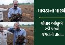 “બાપા અમે મરી ગયા,મારે મજૂરી શેમાંથી દેવી”… માવઠાએ વેરેલા વિનાશથી ચોધાર આંસુએ રડી પડ્યા ખેડૂત- Video