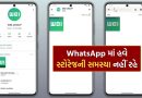 WhatsApp માં હવે સ્ટોરેજની સમસ્યા નહીં રહે ! કંપની લાવી રહી છે અદ્ભુત નવું ફીચર