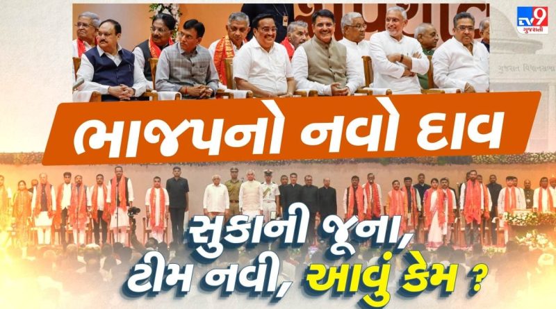 ભાજપે કેમ સુકાની યથાવત રાખીને આખી ટીમ નવી બનાવી ? ટીમ B રાજકીય વૈતરણી પાર કરાવશે ?