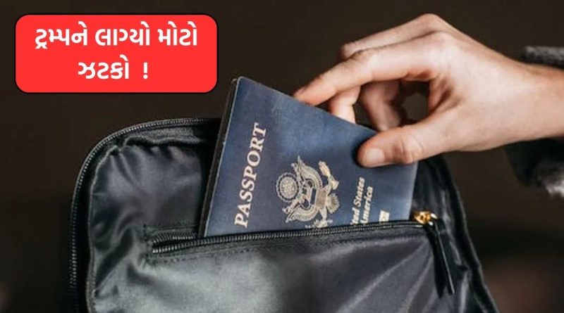 ટ્રમ્પને મોટો ઝટકો ! વિશ્વના 10 સૌથી શક્તિશાળી પાસપોર્ટની યાદીમાંથી અમેરિકાનું ‘નામો નિશાન’ નહીં