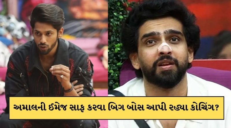 BB 19 : અમાલ મલિકને ઈમેજ સાફ કરવા બિગ બોસ આપી રહ્યા કોચિંગ ? વાતવાતમાં બસીરનો ખુલાસો-Video