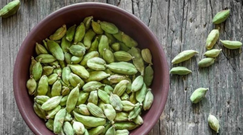 રાત્રે સૂતા પહેલા ફક્ત બે એલચી ખાઓ ! તમારી ઊંઘ, પાચન અને ત્વચા પર જોવા મળશે જાદુઈ ફાયદા