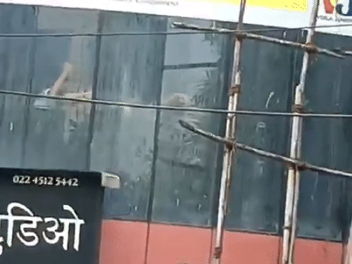 મુંબઈ: સ્ટુડિયોમાં બાળકોને બંધક બનાવનારની ધરપકડ:વીડિયોમાં કહ્યું, ‘હું આતંકવાદી નથી, કોમન મેન છું; મારે અમુક સવાલ પૂછવા છે