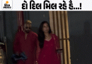 લવ ઇઝ ઇન ધ એર!:હાર્દિક પંડ્યાના દિલ પર લાગી માહિકાની મોહર, રેડ આઉટફિટમાં સુંદરતા વિખેરી; જુઓ ધોનીથી લઈને અભિષેક સુધીના ક્રિકેટરોની સેલિબ્રેશન તસવીરો