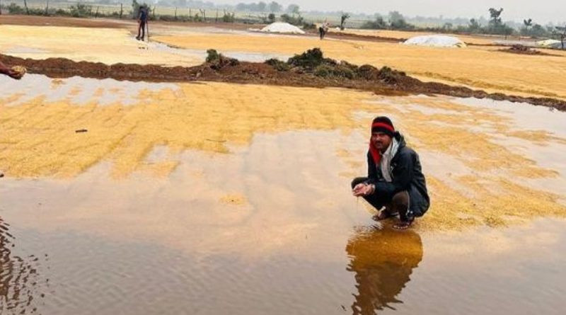 દેશમાં એક સાથે 3 હવામાન સિસ્ટમ એક્ટિવ:આગામી 3-4 દિવસમાં 15 રાજ્યોમાં વરસાદ અને ઠંડીની આગાહી, MP, ગુજરાત વરસાદથી અસરગ્રસ્ત; પર્વતીય રાજ્યોમાં પારો ગગડશે