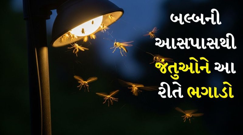 Tips And Tricks: બલ્બની આસપાસ જંતુઓ કે નાના કિટકો પરેશાન કરે છે ? આ ટિપ્સ તમને કરશે મદદ