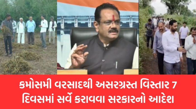 માવઠાથી અસર પામેલા 33 જિલ્લાના 239 તાલુકામાં ખેતી ક્ષેત્રે થયેલા નુકસાન અંગે 7 દિવસમાં સર્વે કરાવવા સરકારનો આદેશ, જુઓ Video