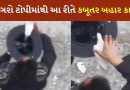 જાદુગરો ટોપીમાંથી કેવી રીતે કાઢે છે કબૂતર, આ Video થી જાણો આખી ટ્રિક્સ