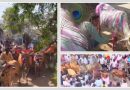 દાહોદ જિલ્લાનો અનોખો ‘ગાય ગોહરી’ ઉત્સવ: જ્યાં ખેડૂતો પશુધનના ટોળા નીચે દંડવત પ્રણામ કરીને પ્રાયશ્ચિત કરે છે