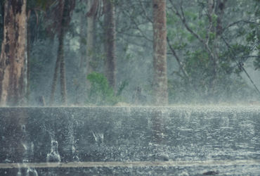 વલસાડમાં કમોસમી વરસાદ, કંડલા બંદર પર એક નંબરનું સિગ્નલ લગાવાયું; દરિયો તોફાની બને તેવી શક્યતા