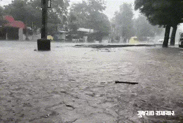 ખેડૂતોના માથે આભ ફાટ્યું! ગુજરાતના 72 તાલુકામાં માવઠું, ગીર સોમનાથના સુત્રાપાડામાં 1.50 ઇંચ વરસાદ ખાબક્યો