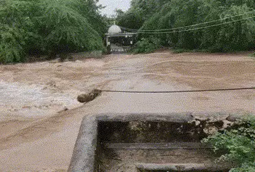 અમરેલી પર વરસાદી આફત! સગર્ભાને JCBમાં લઈ જવાઈ, રાજુલામાં 50 લોકોનું રેસ્ક્યૂ; સર્વત્ર પાણી જ પાણી