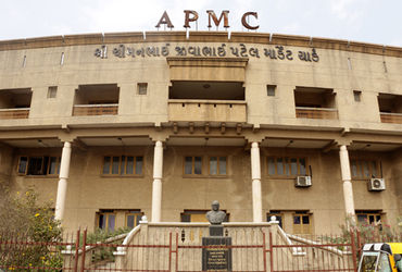 ગુજરાતની વિવિધ APMC પર ભાજપના મળતીયાઓનો કબજો, ગોડાઉનનો મફત ઉપયોગ અને ખેડૂતોને ઠેંગો