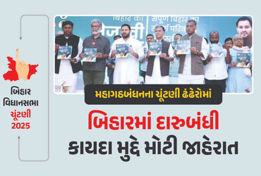 શું બિહાર દારુબંધી હટી જશે? મહાગઠબંધનના ચૂંટણી ઢંઢેરોમાં સમીક્ષા કરવાની જાહેરાત શું બિહાર દારુબંધી હટી જશે? મહાગઠબંધનના ચૂંટણી ઢંઢેરોમાં સમીક્ષા કરવાની જાહેરાત