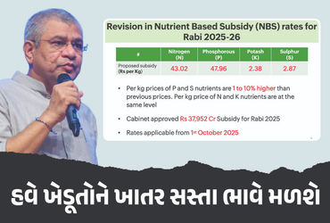 ખેડૂતોને રાહત ! ફર્ટિલાઈઝર માટે રૂ.37952 કરોડની સબસિડી મંજૂર, કેબિનેટની બેઠકમાં જાહેરાત