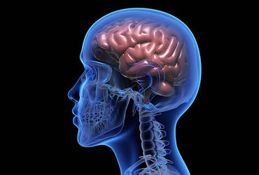 ગુજરાતમાં લકવાના 10માંથી ચાર દર્દીની ઉંમર 50 વર્ષથી ઓછી, દરરોજ સરેરાશ 35 ઈમરજન્સી કેસ