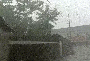 ગુજરાતના 74 તાલુકામાં કમોસમી વરસાદ, સૌથી વધુ અમરેલીના રાજુલામાં 3 ઇંચ, ખેડૂતો ચિંતિત