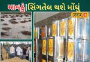 મગફળીના ઉત્પાદનમાં 15% ઘટાડાની આશંકા, સિંગતેલ મોંઘું થવાના એંધાણ