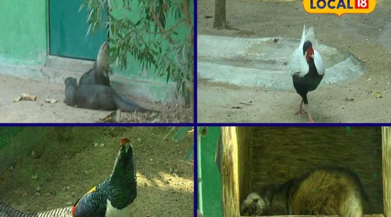 દિવાળીની રજામાં રાજકોટના આ સ્થળે લોકોની ભીડ, બાળકો થયા ખુશ